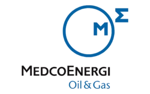 Logo projdev medcoenergi img