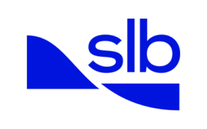 Logo techprov slb img